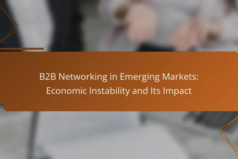 B2B Networking in Emerging Markets: Economic Instability and Its Impact