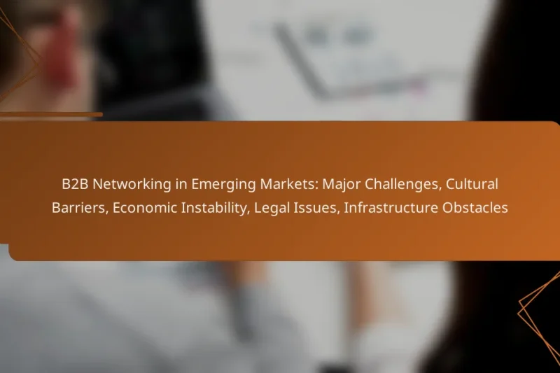 B2B Networking in Emerging Markets: Major Challenges, Cultural Barriers, Economic Instability, Legal Issues, Infrastructure Obstacles