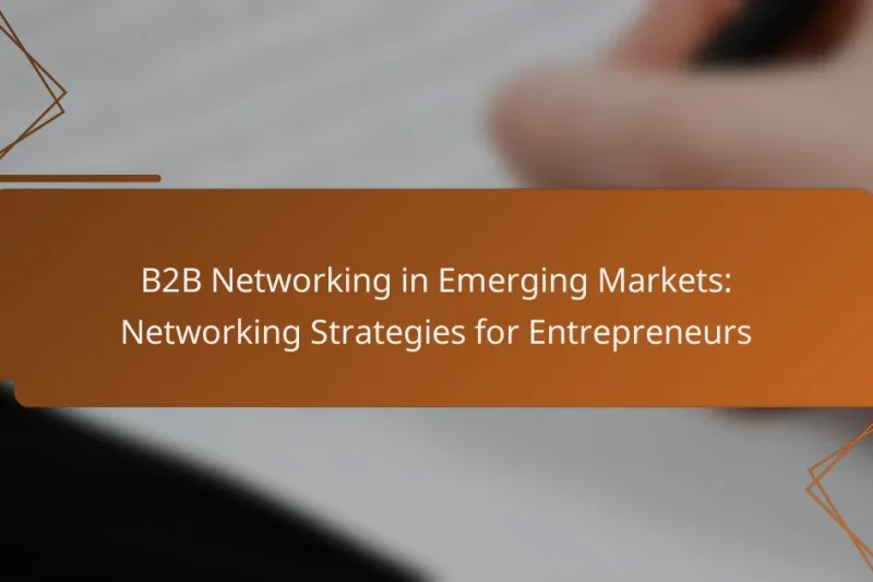 B2B Networking in Emerging Markets: Networking Strategies for Entrepreneurs