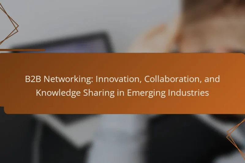 B2B Networking: Innovation, Collaboration, and Knowledge Sharing in Emerging Industries