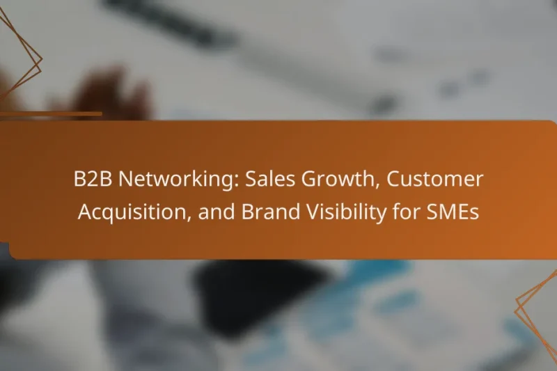 B2B Networking: Sales Growth, Customer Acquisition, and Brand Visibility for SMEs