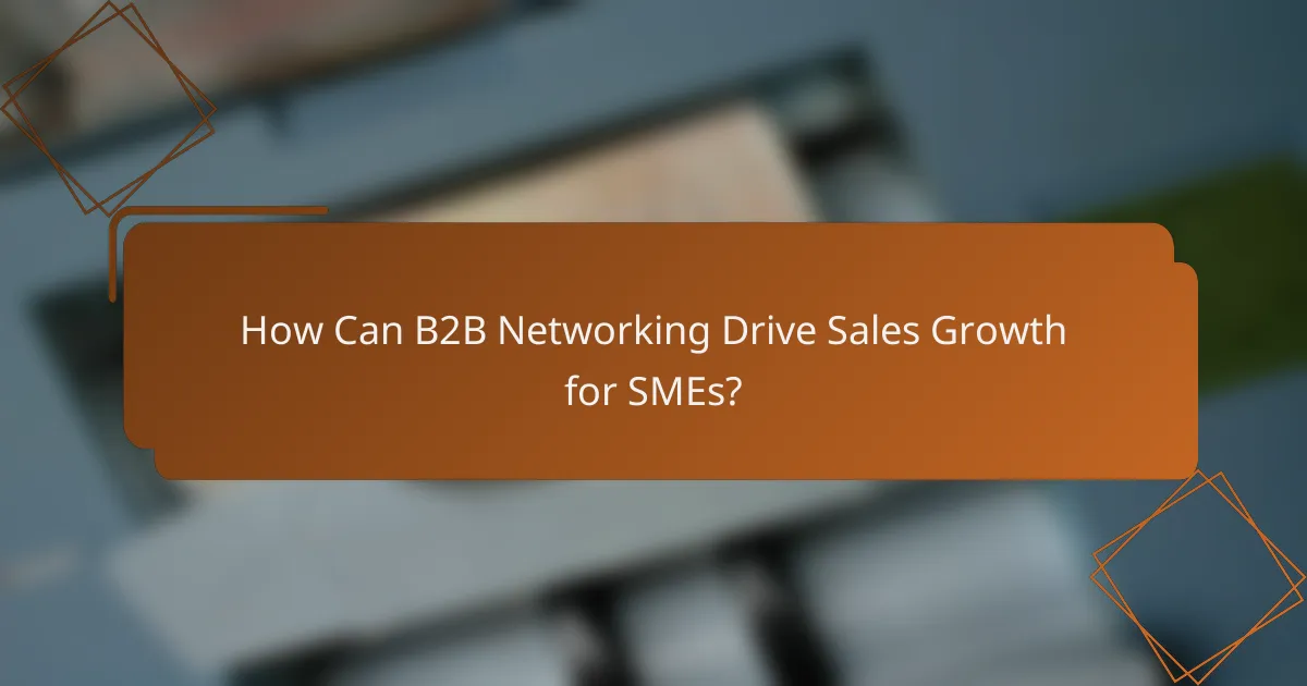 How Can B2B Networking Drive Sales Growth for SMEs?