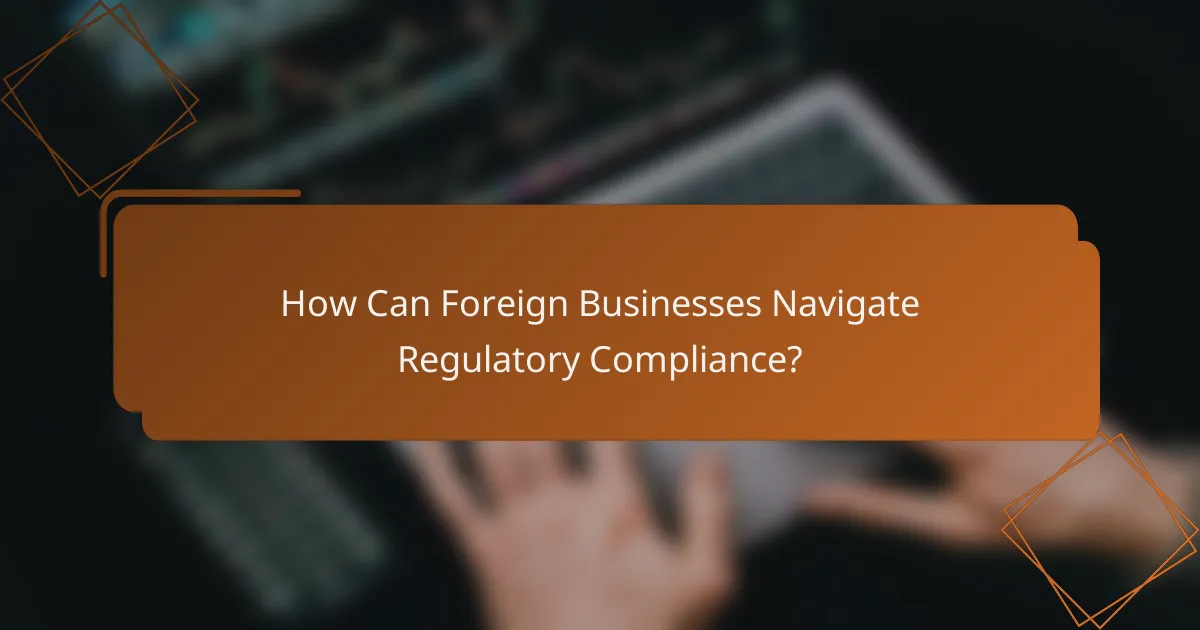 How Can Foreign Businesses Navigate Regulatory Compliance?