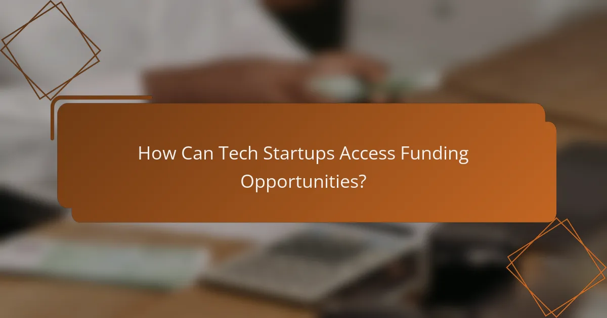 How Can Tech Startups Access Funding Opportunities?