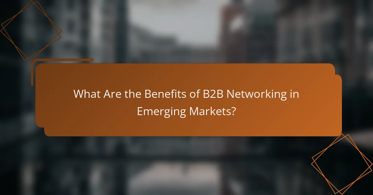 What Are the Benefits of B2B Networking in Emerging Markets?