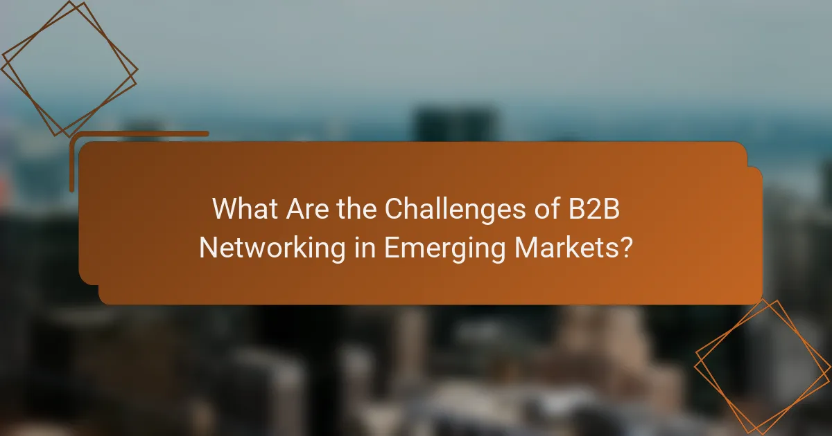 What Are the Challenges of B2B Networking in Emerging Markets?