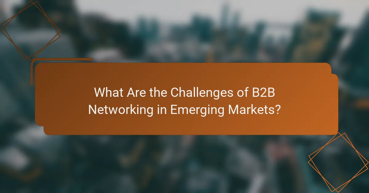 What Are the Challenges of B2B Networking in Emerging Markets?