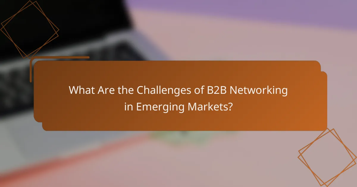 What Are the Challenges of B2B Networking in Emerging Markets?