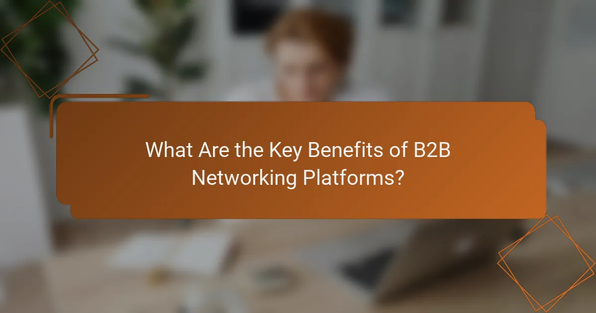 What Are the Key Benefits of B2B Networking Platforms?